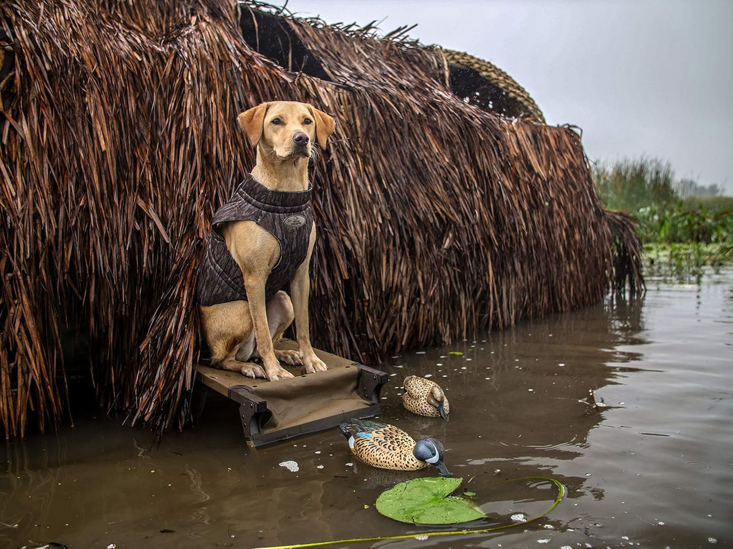 Flambeau Outdoors 8016SUV Storm Front 2 Blue-Winged Teal Decoys, Classic Floaters- 6-Pack