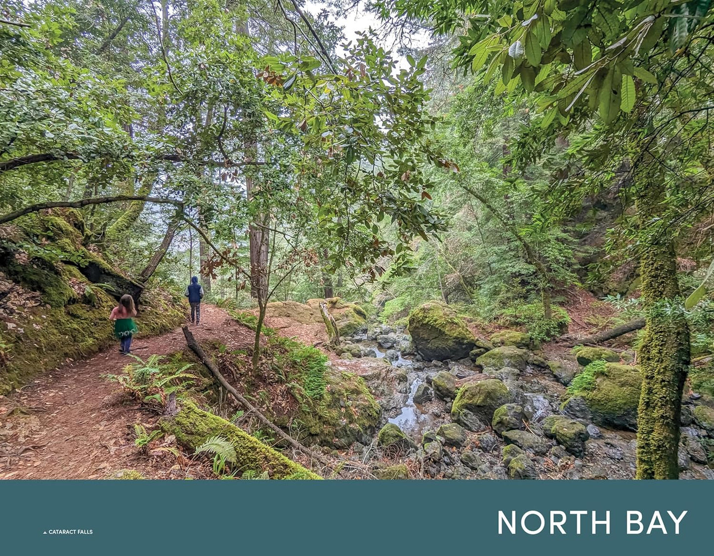 Moon Northern California Hiking: Best Hikes Plus Beer, Bites, and Campgrounds Nearby (Moon Hiking Travel Guide)
