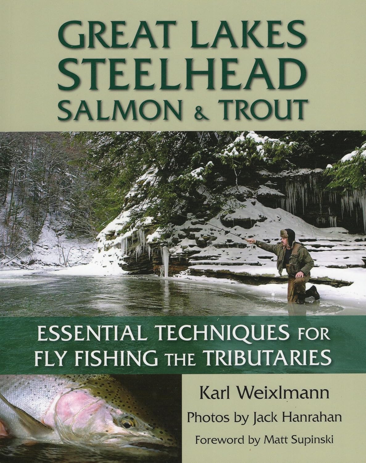Great Lakes Steelhead, Salmon & Trout: Essential Techniques for Fly Fishing the Tributaries