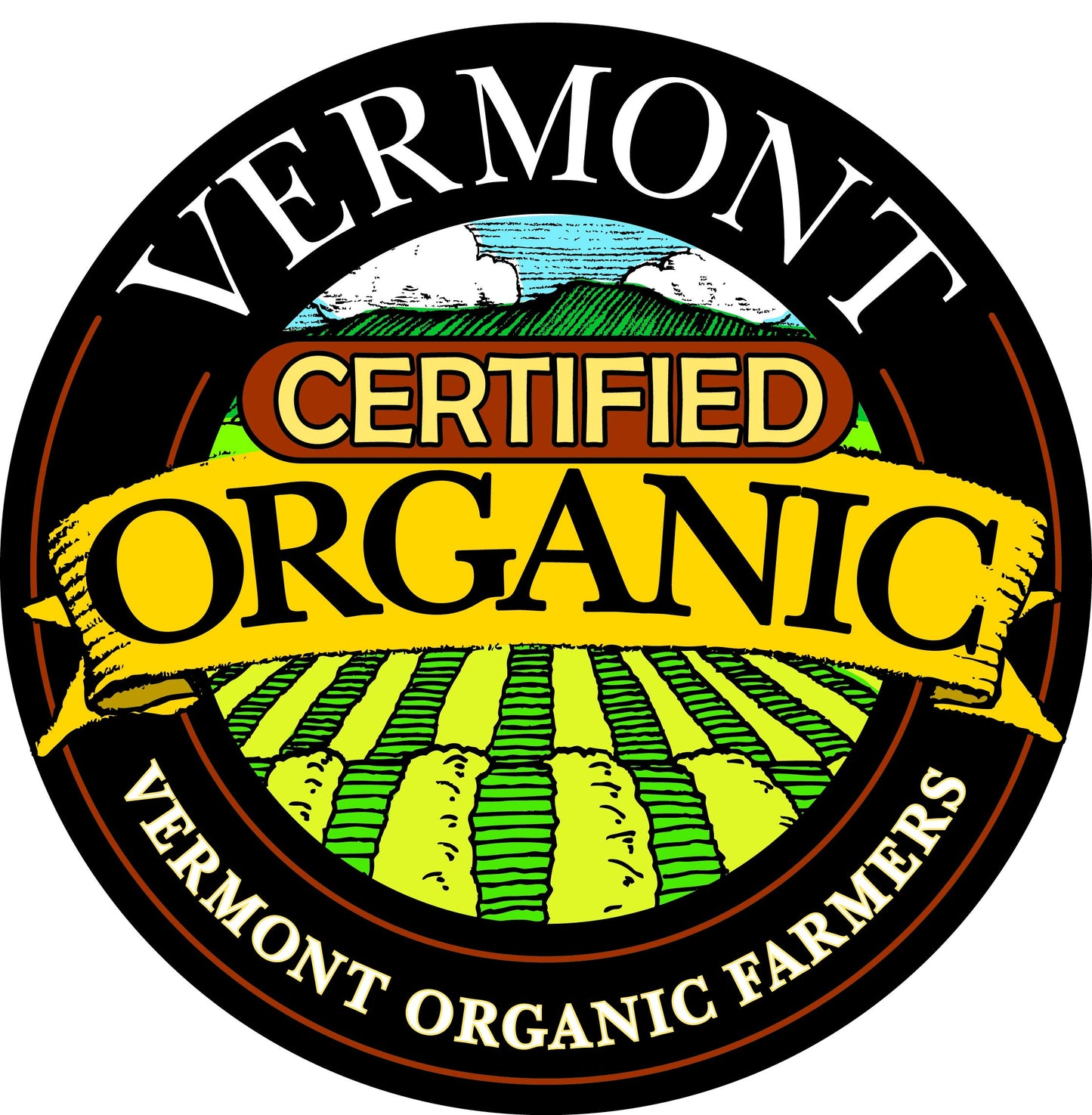 Organic Vermont Maple Syrup - Pure and All Natural - One Pint Jug (16 oz) - Grade A Amber Rich - From Barred Woods Maple