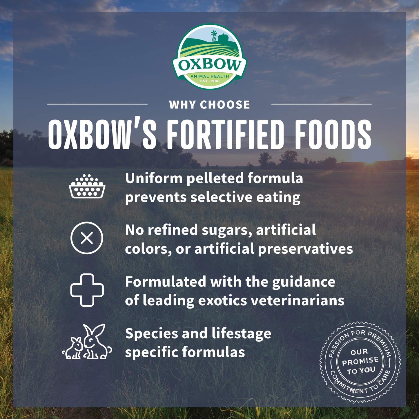 Oxbow Essentials Rabbit Food, Adult, Made with Oxbow Timothy Hay for Rabbit, Pet Pellets with Vitamins & Minerals, Small Animal Pet Products, Bunny Food, Made in USA, High Fiber, 10 lb. bag