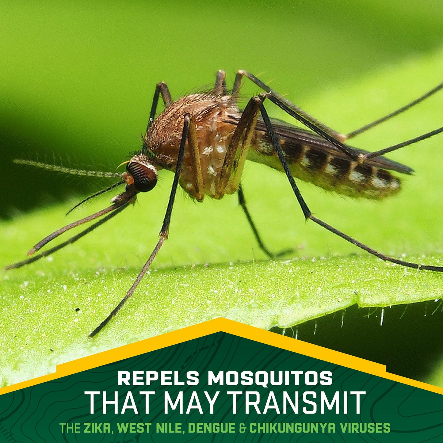 Repel 100 Insect Repellent, Pump Spray, 4-Fluid Ounces, 10-Hour Protection