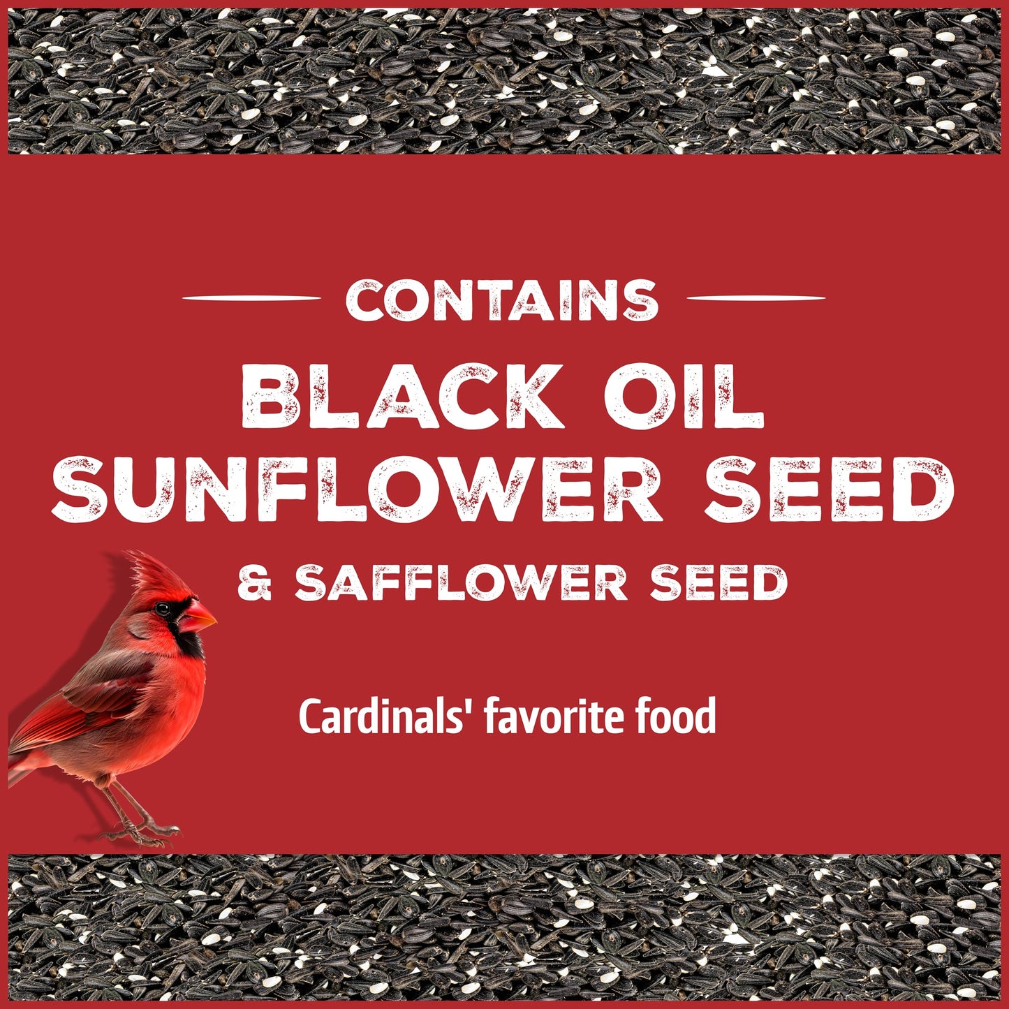 Pennington Pride Songbird Nut & Fruit Blend, Wild Bird Seed for Outside Feeders, Advanced Nutrition Formula for Bird Health, 10-lb. Bag