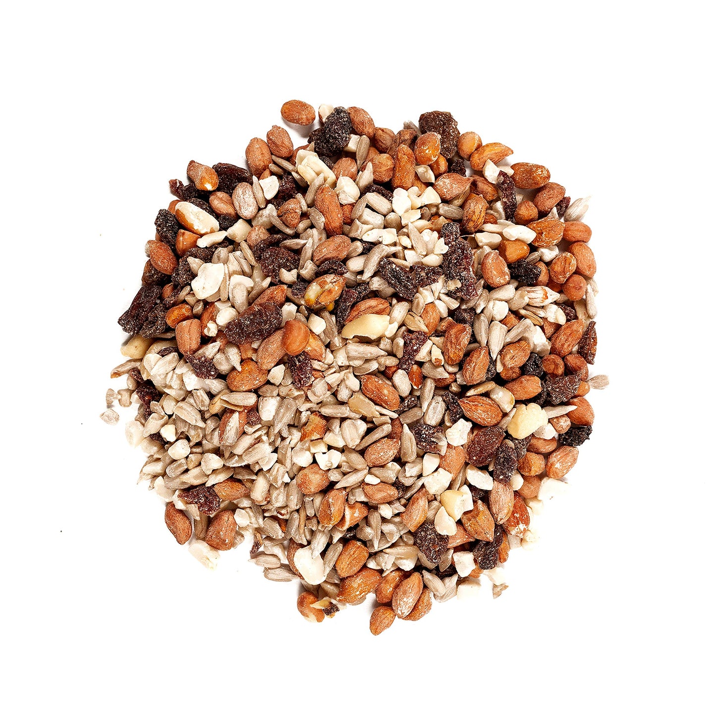Wagner's 82072 Gourmet Nut & Fruit Wild Bird Food, 5 Pound (Pack of 1)