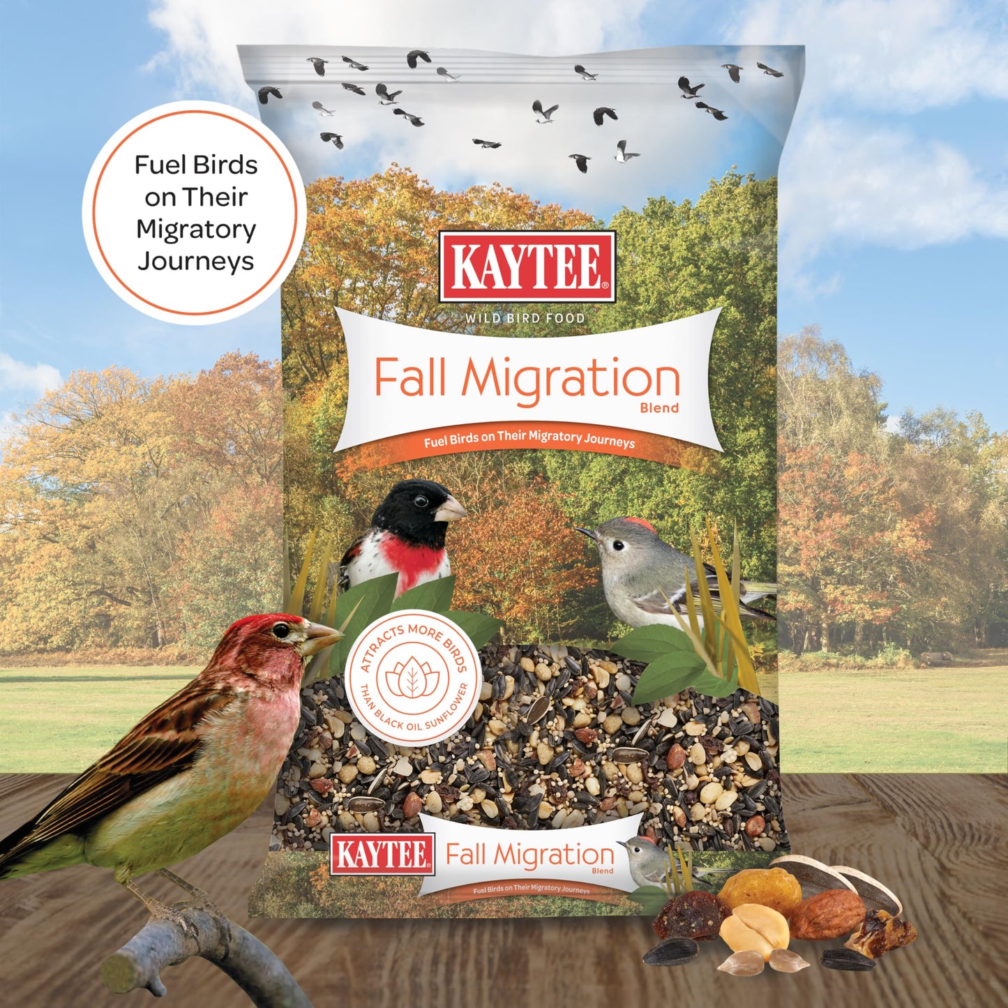 Kaytee Wild Bird Food, Summer Nesting Seed Blend, 8 lb