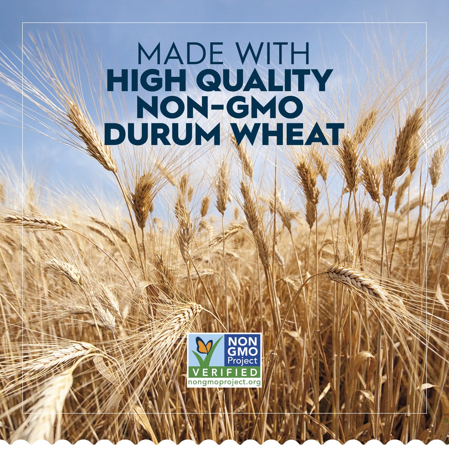 Barilla Spaghetti Pasta, 16 oz. Box (Pack of 8) - Non-GMO Pasta Made with Durum Wheat Semolina Kosher Certified