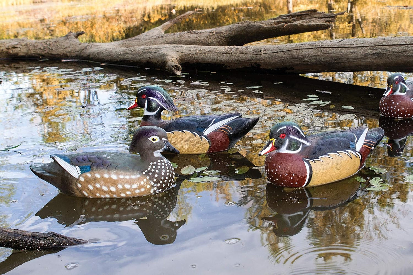 Flambeau Outdoors 8018SUV Storm Front 2 Wood Duck Decoys, Classic Floaters - 6-Pack