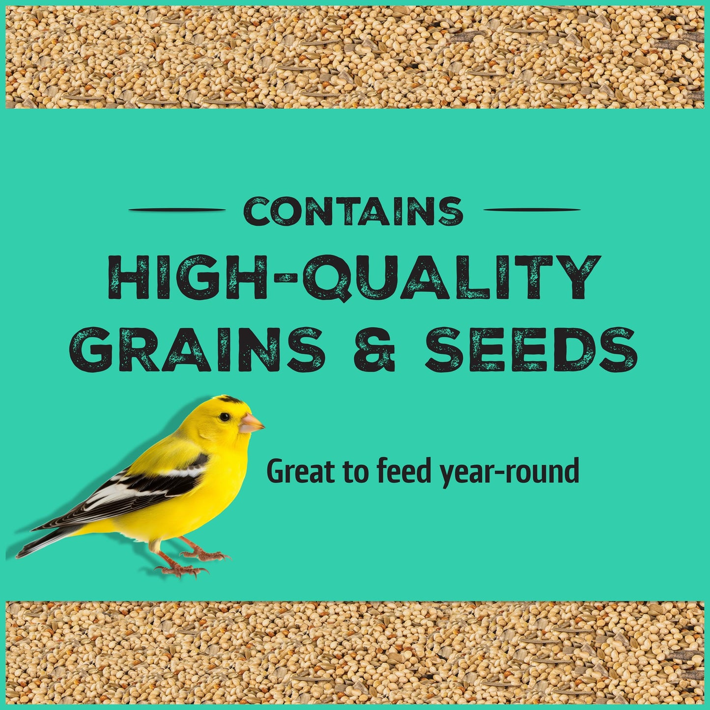 Pennington Pride Songbird Nut & Fruit Blend, Wild Bird Seed for Outside Feeders, Advanced Nutrition Formula for Bird Health, 10-lb. Bag
