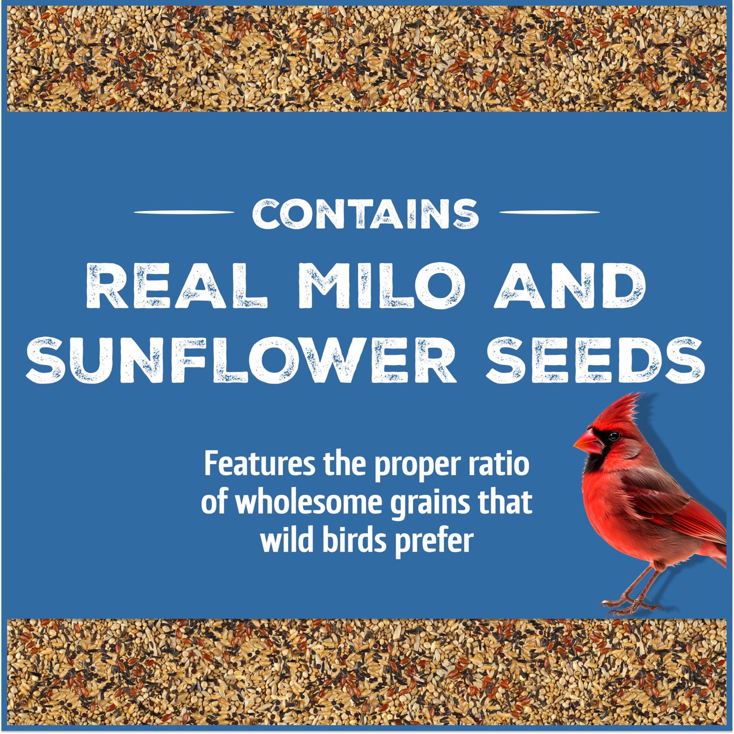Pennington Pride Songbird Nut & Fruit Blend, Wild Bird Seed for Outside Feeders, Advanced Nutrition Formula for Bird Health, 10-lb. Bag