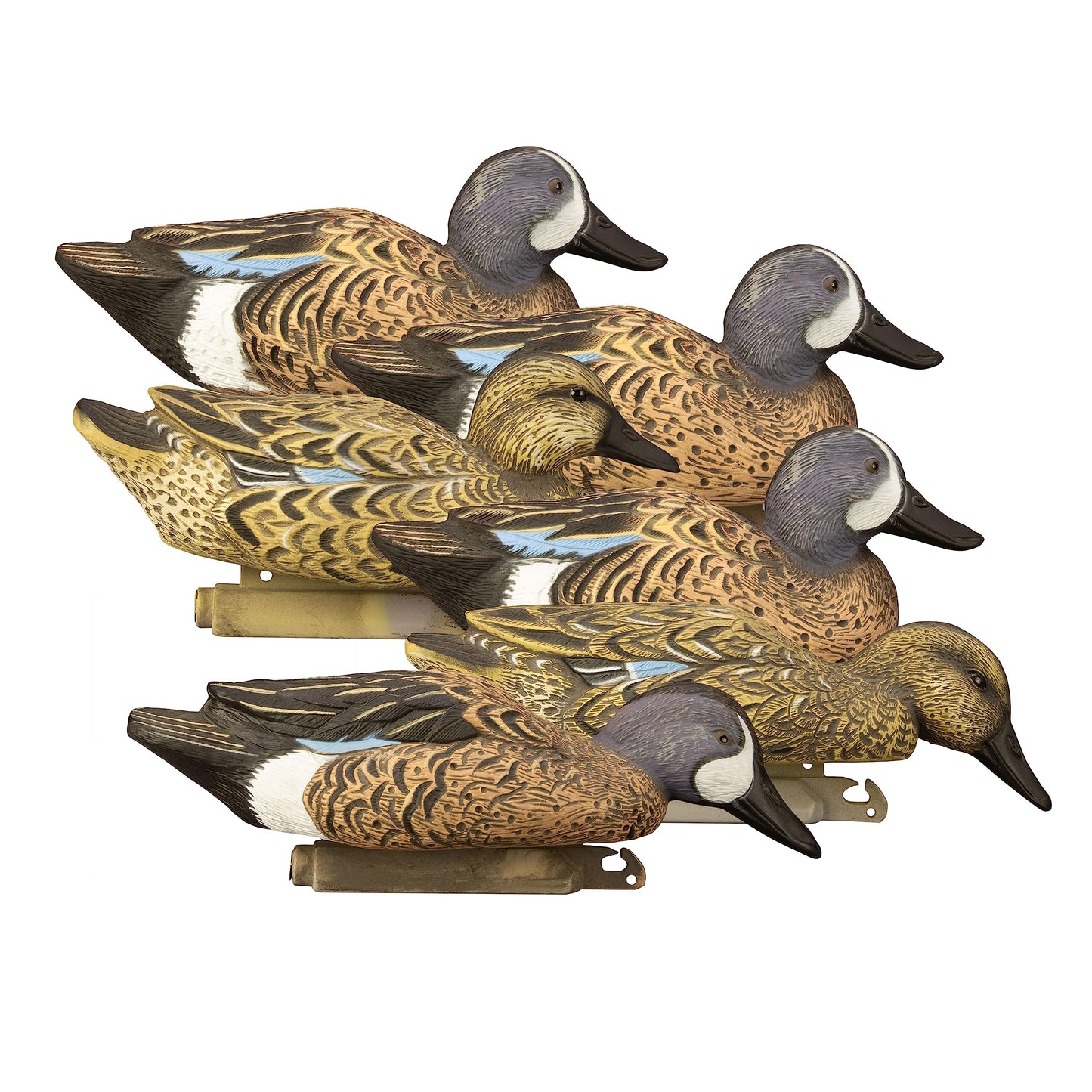 Higdon Outdoors | Standard Blue Wing Teal Duck Decoys, Foam-Filled