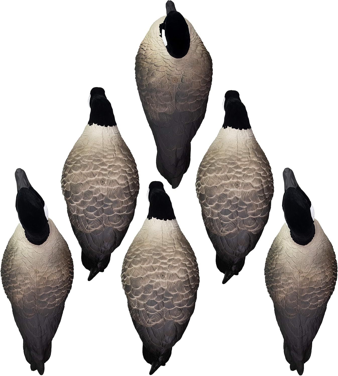 Higdon Outdoors APEX Full-Size Full-Body Variety Pack | Canada Goose Decoy for Waterfowl Hunting| Flocked Head 6pk