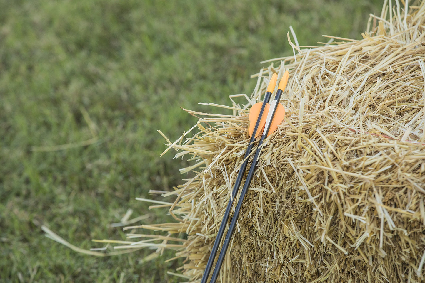 Bear Archery Youth Safety Glass Arrows, Durable & Splinter-Free Fiberglass Arrows, Nocks and Points Included, Pre-Fletched with Vanes, America's No. 1 Youth Archery Brand
