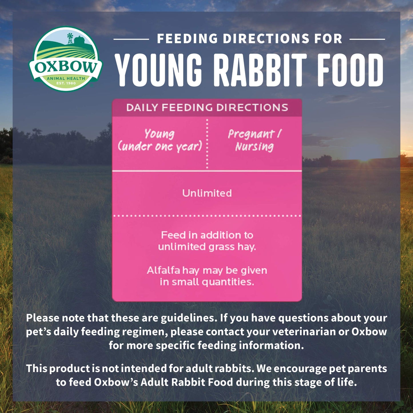 Oxbow Essentials Rabbit Food, Adult, Made with Oxbow Timothy Hay for Rabbit, Pet Pellets with Vitamins & Minerals, Small Animal Pet Products, Bunny Food, Made in USA, High Fiber, 10 lb. bag