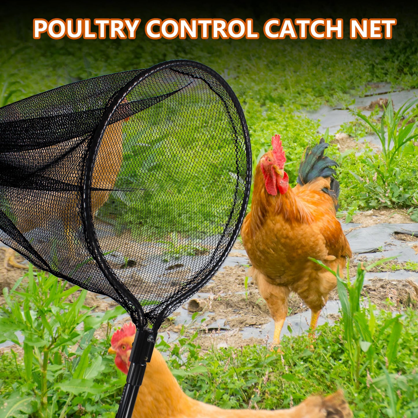 Catch Net Small Animal Control Net Poultry Catching Trap Tool for Cat, Chicken, Duck, Goose, Fish, Bird and Others (43~78" Telescoping Handle with 20.5" Net Opening)