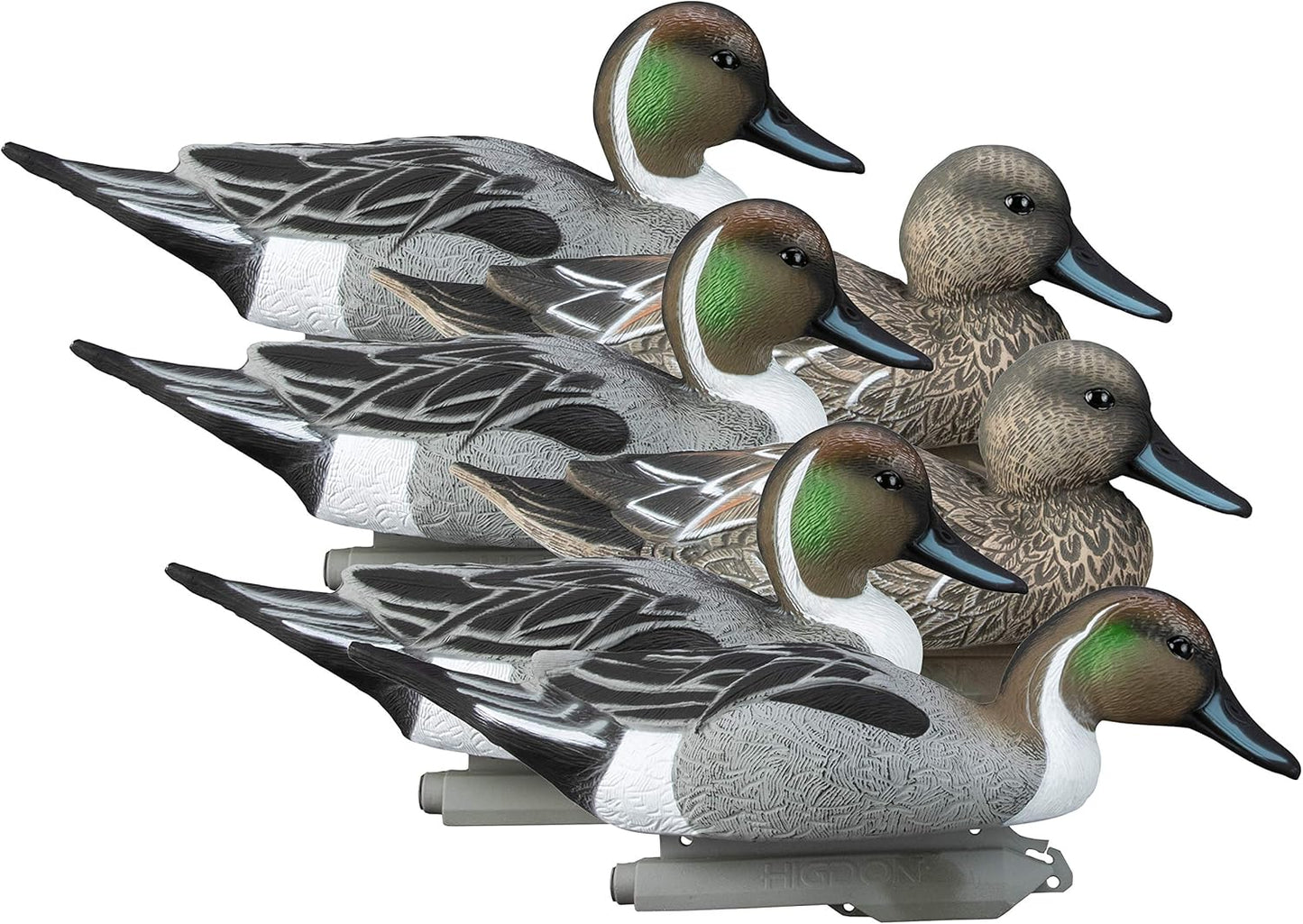Higdon Outdoors Standard Pintail Duck Decoys, Foam-Filled