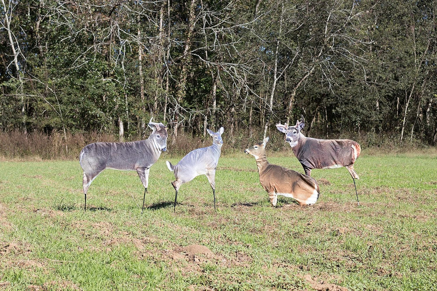 Estrus Betty (Peeing Doe) by Montana Decoy