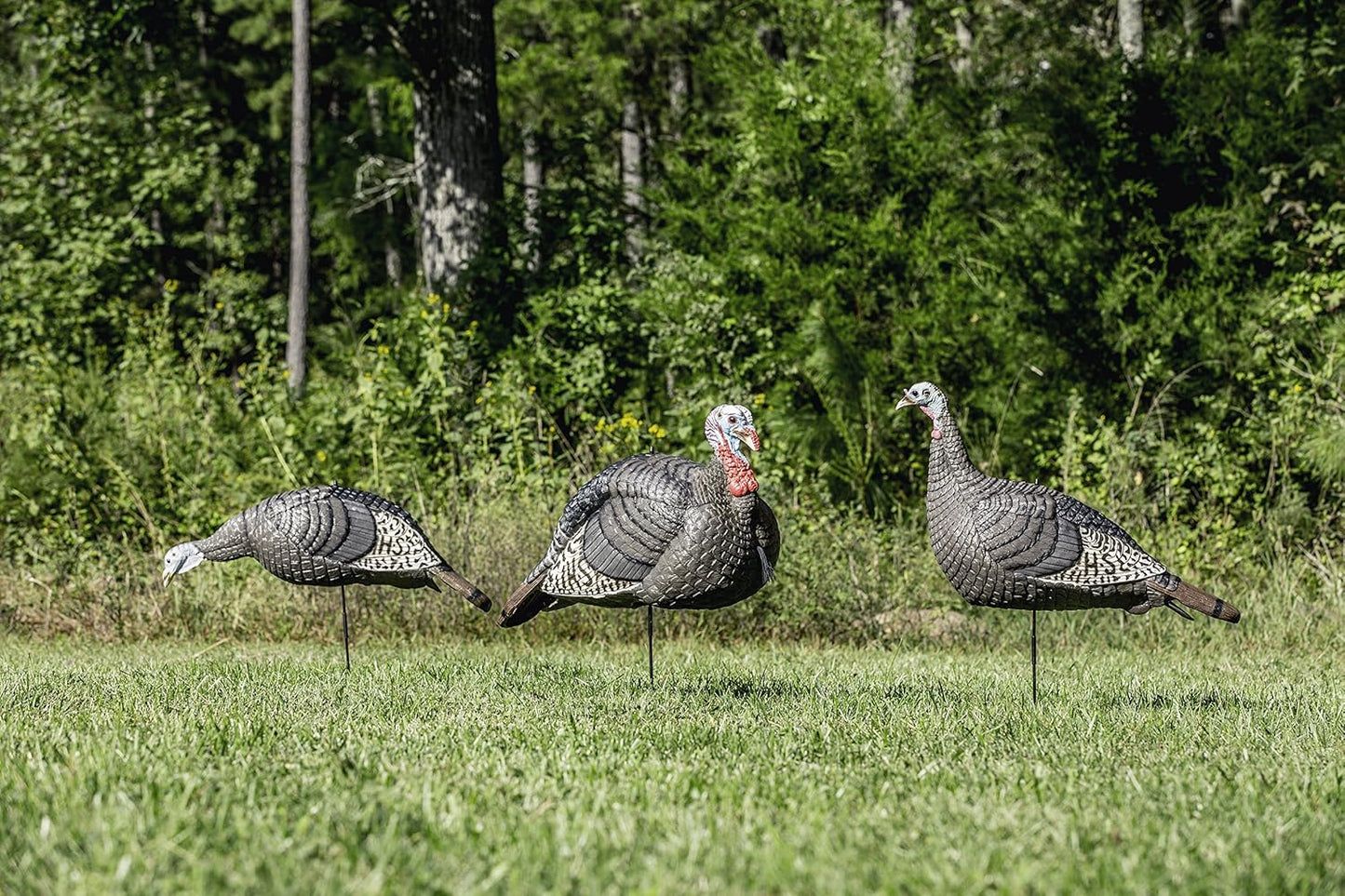 HUNTERS SPECIALTIES HS Strut Lite Flock Jake & Feeding Hen & Upright Hen Turkey Foldable Hollow Relaxed Body Realistic3-Pack Combo Set Decoys