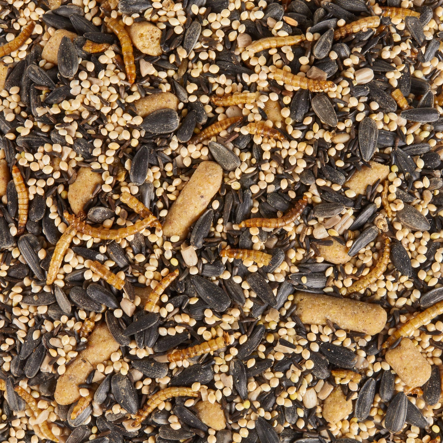 Kaytee Wild Bird Food, Summer Nesting Seed Blend, 8 lb