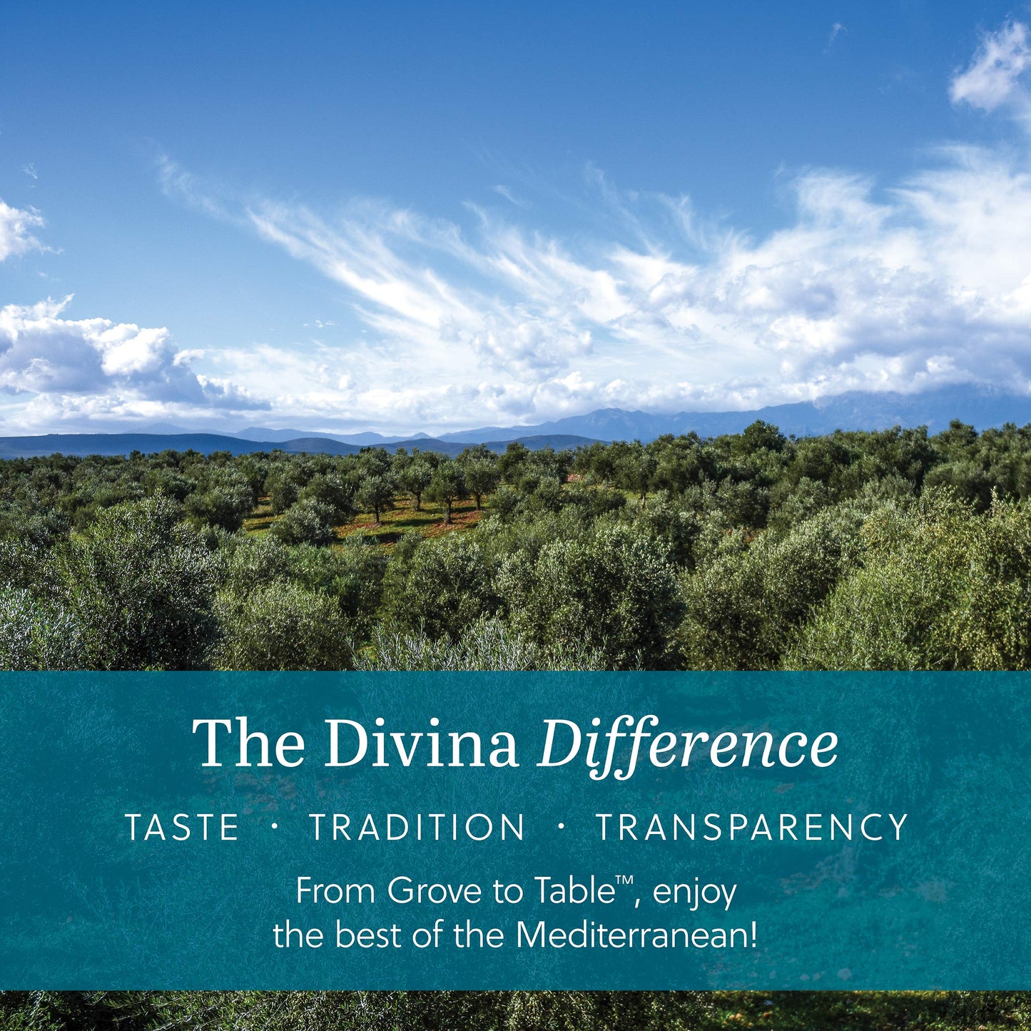 DIVINA Chili Fig Spread Jam, 9 Ounce