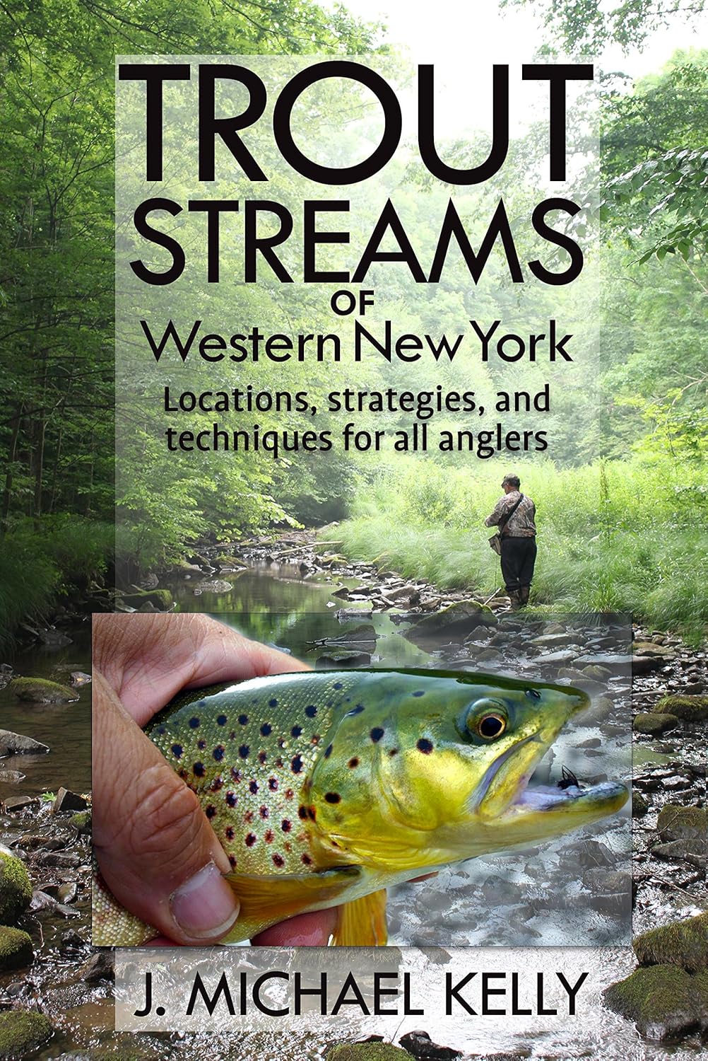 Trout Streams Of Western New York: Locations, Strategies and Techniques for All Anglers