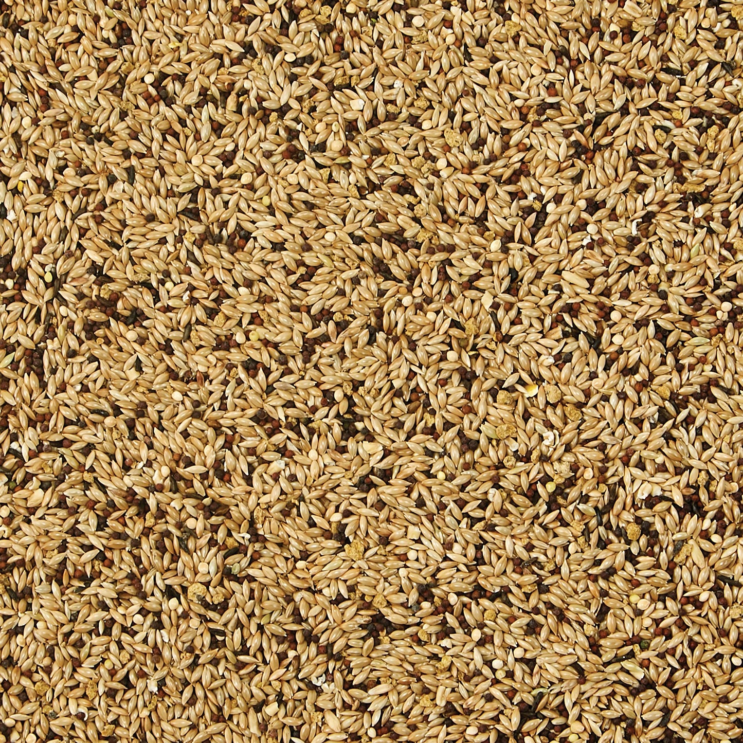 Kaytee Supreme Pet Canary & Finch Food, 20 lb