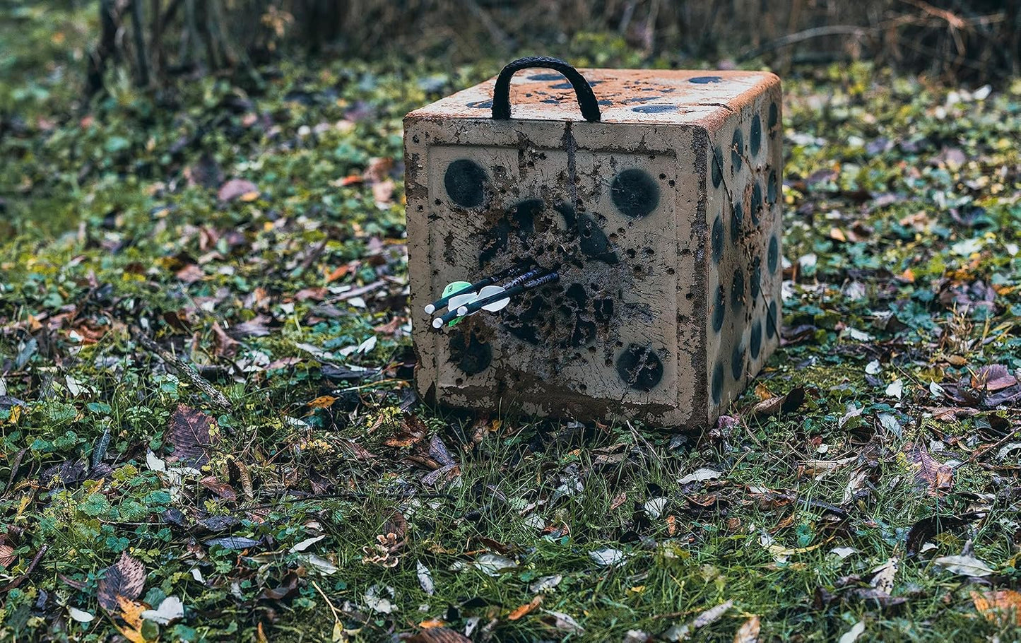 Killer Instinct Crossbows Hypr Lite 20" Crossbow Bolts (6-Pack)