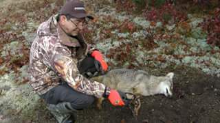 Spring and Summer - Time to Prepare for Fall and Winter Trapline