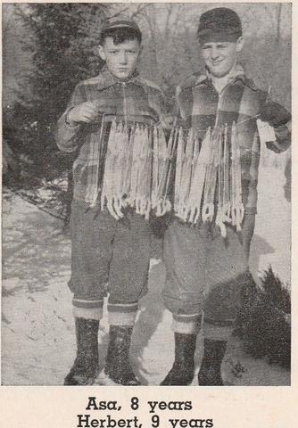 Trapping Michigan’s White Furbearing Animal the Weasel by John S. Chagnon