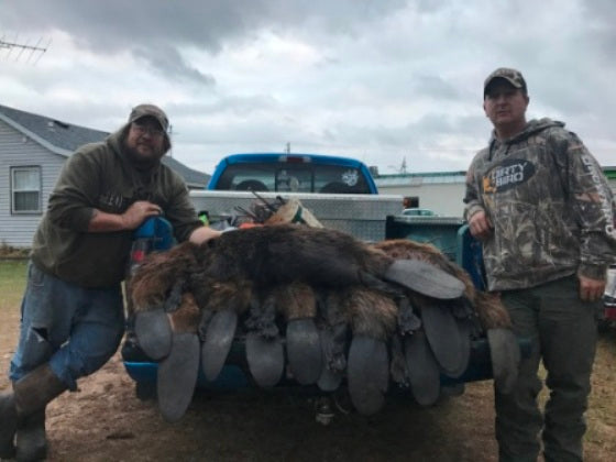 How to Collect Beaver Castor and Make Beaver Stew