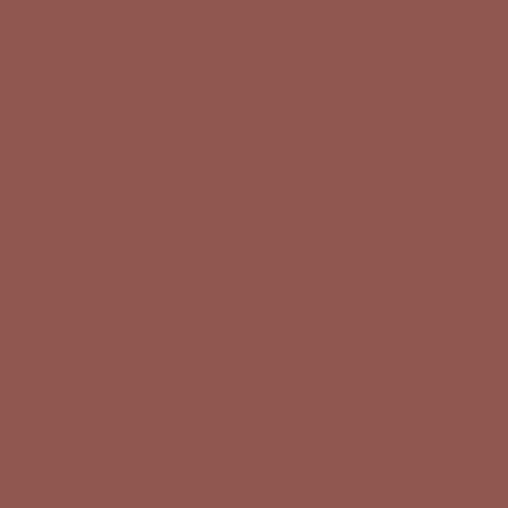 Rust-Oleum 7769830 Stops Rust Rusty Metal primer Spray, 12 oz, Flat Brown