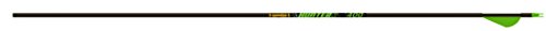 Gold Tip Hunter XT Arrows with 2-Inch Raptor Vanes (1-Dozen), Color May Vary