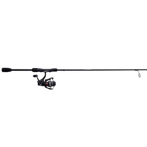 Abu Garcia Max SX Spinning Reel and Fishing Rod Combo