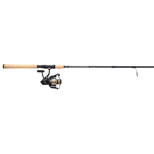 PENN Battle IV Spinning Reel and Fishing Rod Combo