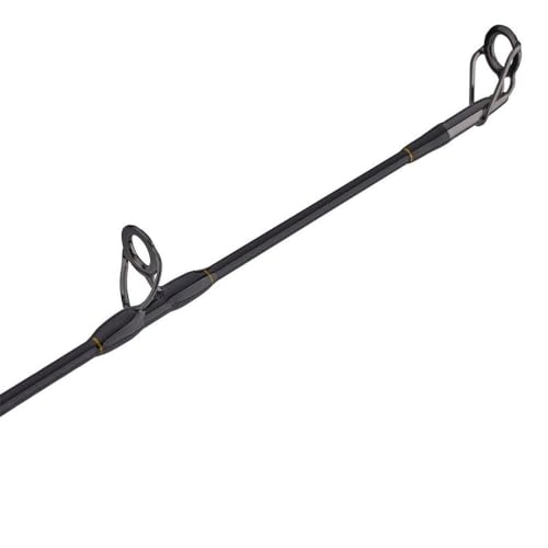 PENN Squall II Lever Drag Fishing Rod & Reel Combo