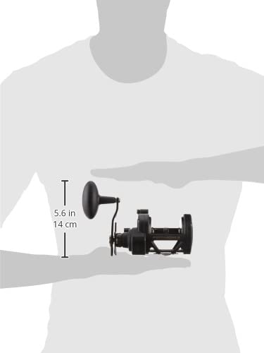 PENN Fathom II Star Drag Conventional Fishing Reel, Black Gold, 25N
