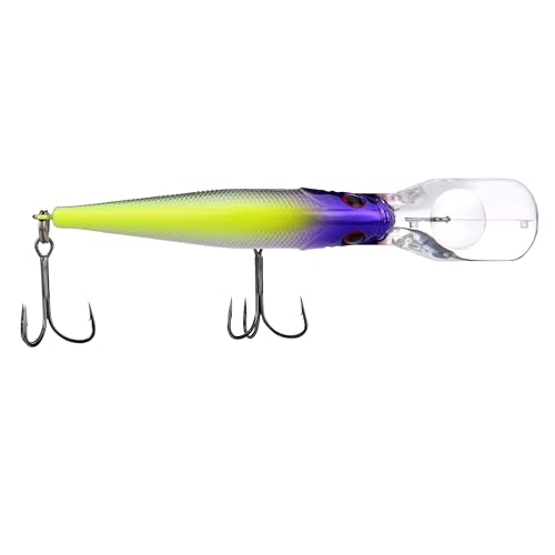 Berkley Flicker Shad Fishing Lure, Black Brass, 5/16 oz, 2 3/4in | 7cm Crankbaits, Size, Profile and Dive Depth Imitates Real Shad, Equipped with Fusion19 Hook