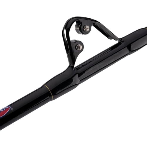 PENN Squall II Lever Drag Fishing Rod & Reel Combo