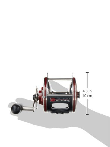 Penn Special Senator Star Drag Conventional Fishing Reel