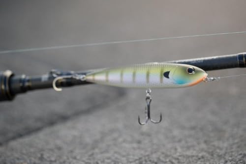 Berkley Topwater Fishing Hard Baits, 4, Blue Bullet