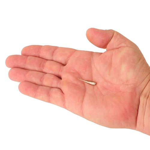 Berkley PowerBait Minnow Fishing Soft Bait
