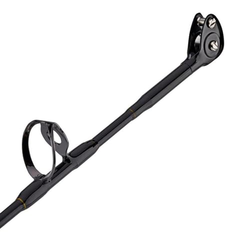 PENN Squall II Lever Drag Fishing Rod & Reel Combo