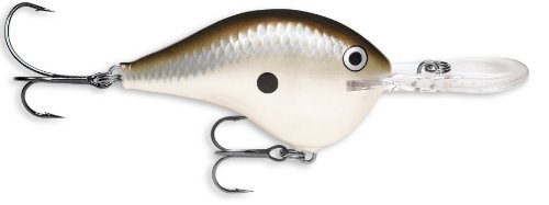 Rapala Rapala Dives to 04 Fishing Lure