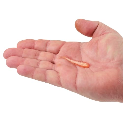 Berkley PowerBait Minnow Fishing Soft Bait
