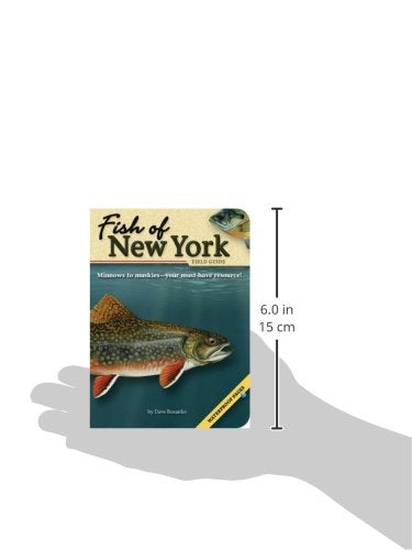 Fish of New York Field Guide (Fish Identification Guides)