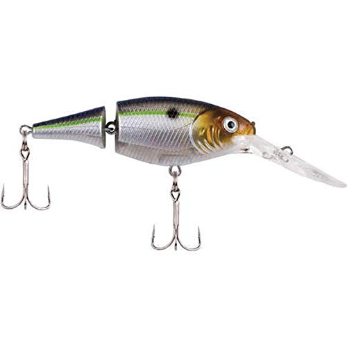 Berkley Flicker Shad Jointed Fishing Lure, Sunset Perch, 1/3 oz, 2 3/4in | 7cm Crankbaits, Size, Profile and Dive Depth Imitates Real Shad, Equipped with Fusion19 Hook