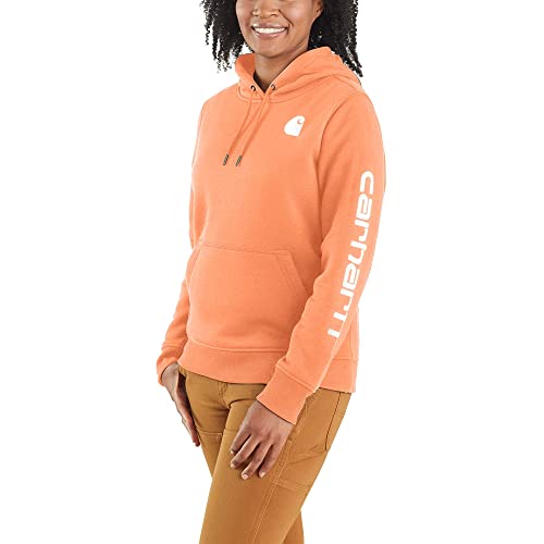 Carhartt Women's Clarksburg Graphic Sleeve Pullover Sweatshirt (Regular and Plus Sizes)