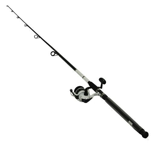 Daiwa D-Wave Saltwater Spinning Combo (2 Piece)