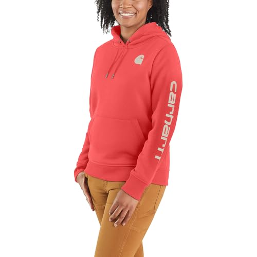 Carhartt Women's Clarksburg Graphic Sleeve Pullover Sweatshirt (Regular and Plus Sizes)