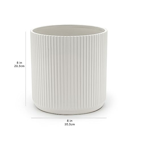 Amazon Basics Fluted Ceramic Round Planter, 8-inch, White
