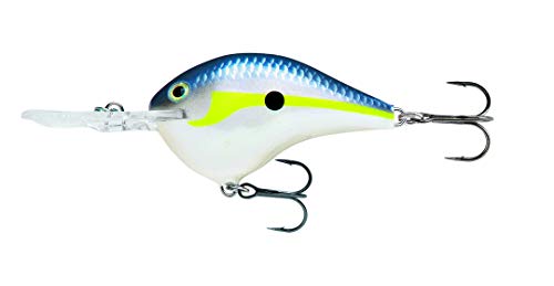 Rapala Rapala Dives to 04 Fishing Lure